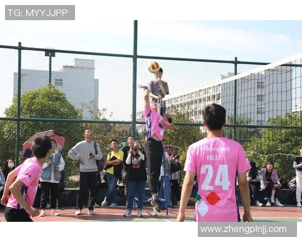 排球节奏排行榜揭晓上海排球队荣获第五名佳绩