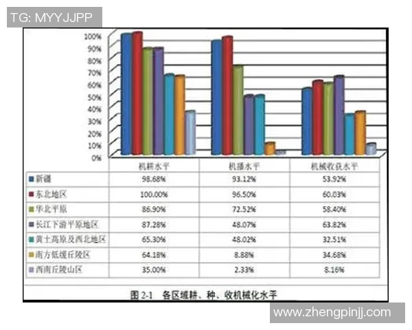 武汉飞盘队的成功运营模式与发展策略深度分析